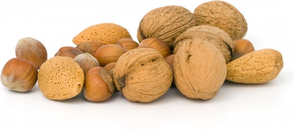 nuts_183058 (2)